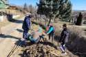 Strom za každý rok
