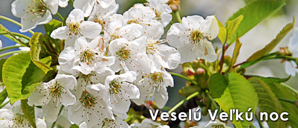 Veselú Veľkú noc