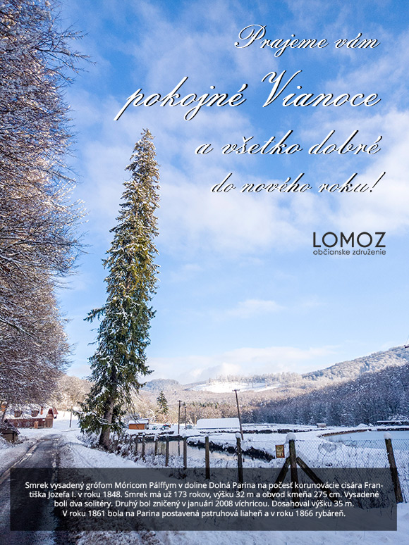 Pokojné Vianoce a všetko dobré do nového roku!